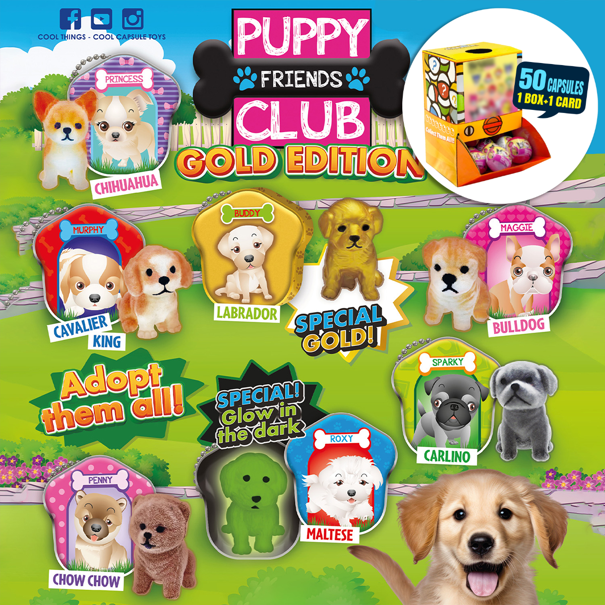Farm animal(puppy club) Countertop Capsule Display(5cm L40)