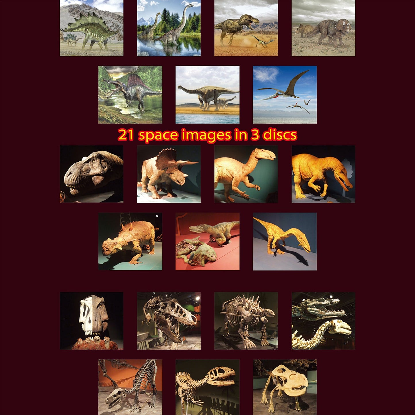 Dinosaur 3D viewer with 21 images