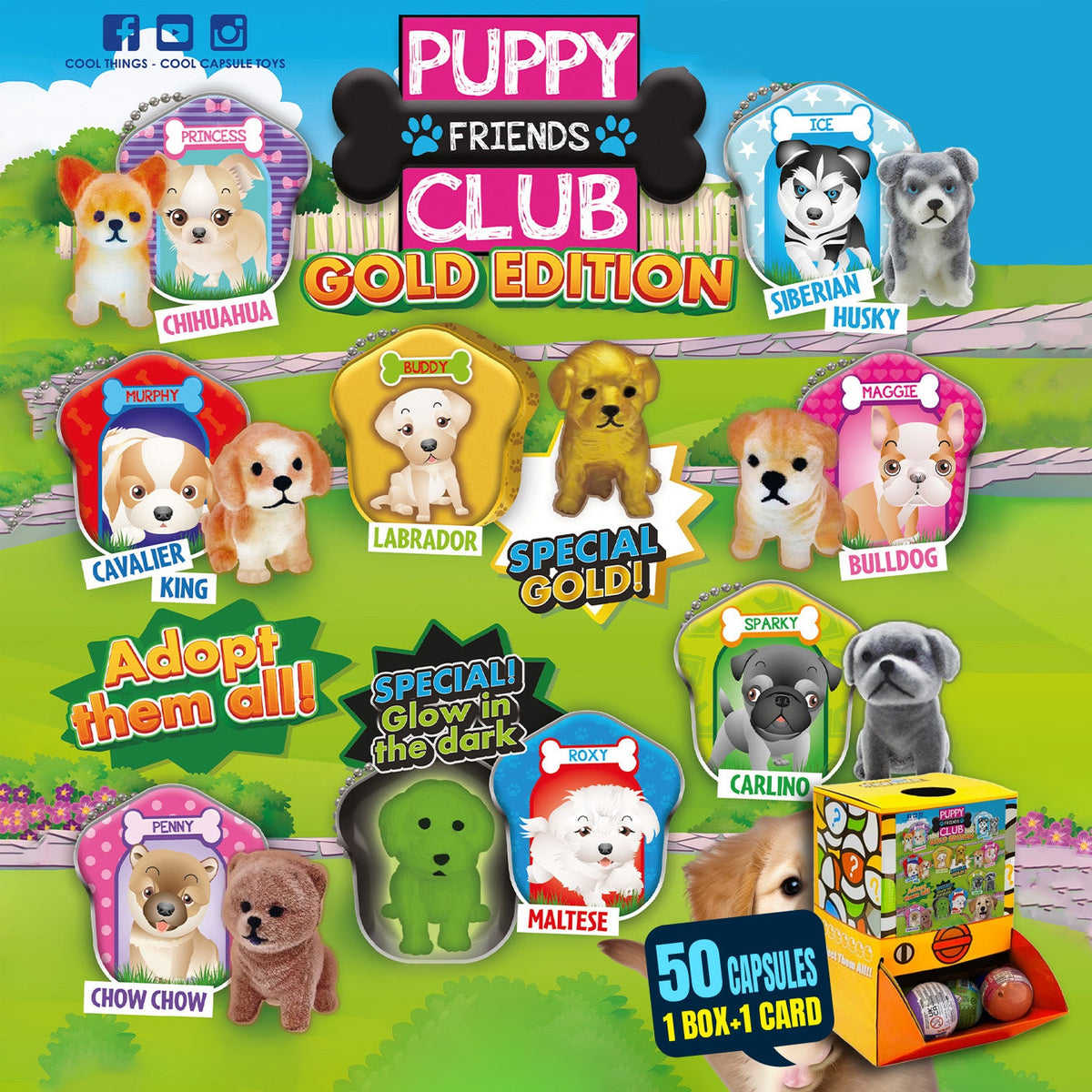 Gold edition Puppy Club Countertop Capsule Display(5cm L40)