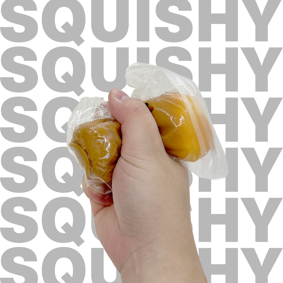 Squishy Slow Rising Capybara Cone w/display