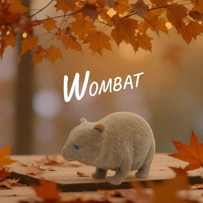 Squishy Australian Wildlife Gift set [Pack of 5 animals]