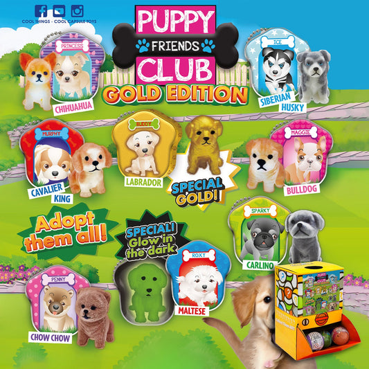 Gold edition Puppy Club the Best in 50mm capsule in Display Box